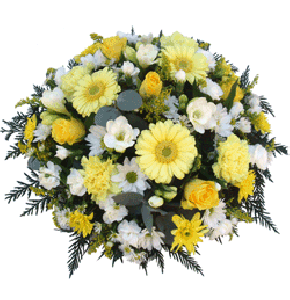  Flowers img1