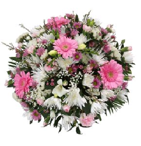  Flowers img2