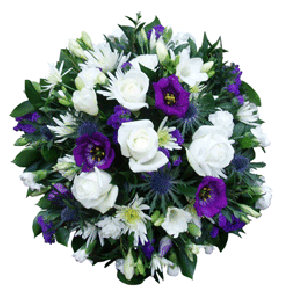  Flowers img3