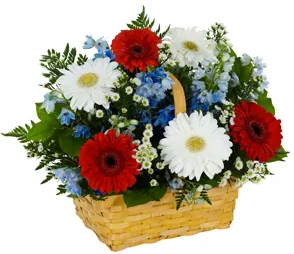  Flowers img6